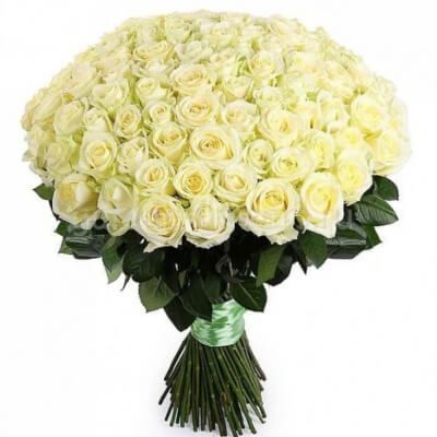 101 ДЛИННАЯ БЕЛАЯ РОЗА