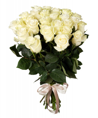 29 Белых роз
