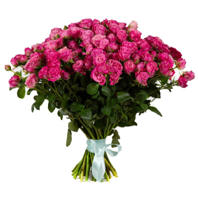 51 кустовая роза бомбастик