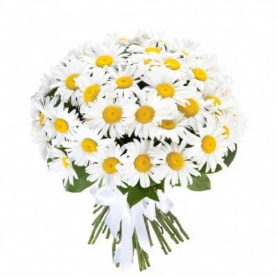 БУКЕТ "35 РОМАШЕК"
