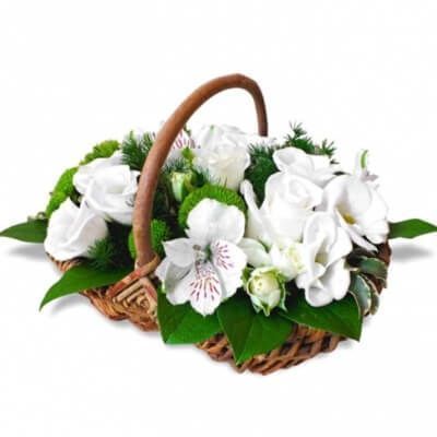 КОМПОЗИЦИЯ "БЕЛОСНЕЖКА"