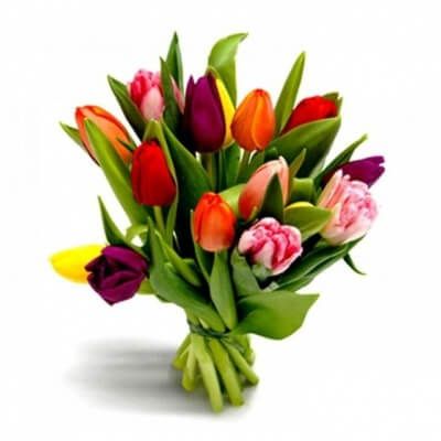 БУКЕТ ИЗ 15 ТЮЛЬПАНОВ