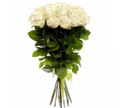 11 Белых Роз