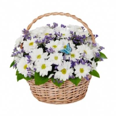 КОМПОЗИЦИЯ "ФУРОР"