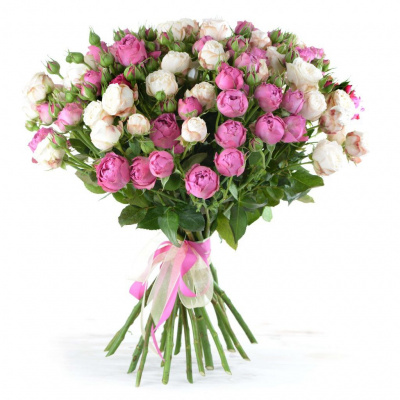 Мисс Бомбастик 