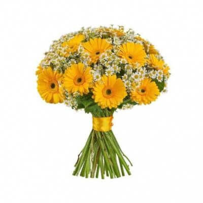 БУКЕТ "СКРОМНОСТЬ"